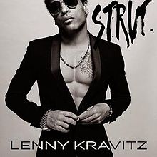 Lenny Kravitz koncert Magyarországon
