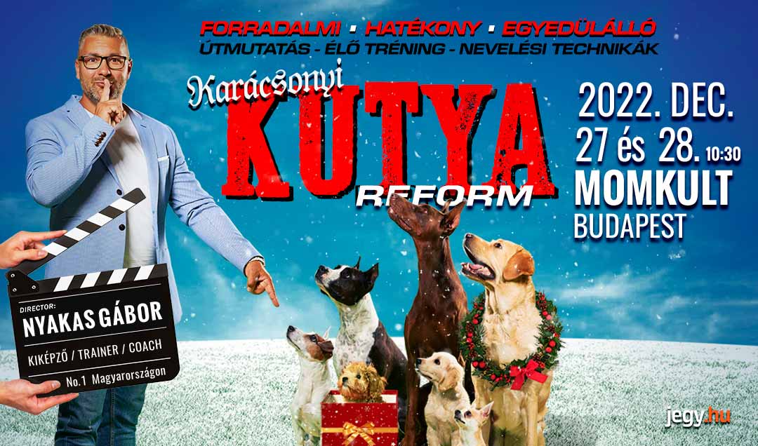 Karácsonyi Kutyareform 2022 - MOM Kult
