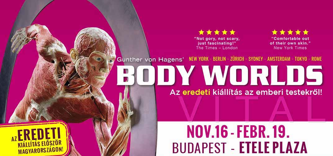 BODY WORLDS kiállítás 2022 - Etele Pláza